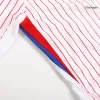 France Jersey EURO Authentic Away - ijersey