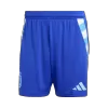 Argentina Soccer Shorts Away - ijersey