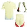 Youth Spain Jersey Whole Kit EURO Away - ijersey