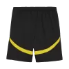 Borussia Dortmund Jersey Whole Kit Home - ijersey