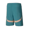 Manchester City Soccer Shorts Fourth Away - ijersey