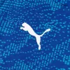 Marseille Jersey 2025/26 Authentic Third - ijersey