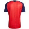 Spain Jersey 2026 Home World Cup Final Match Edition (With Patches) - ijersey