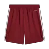 Arsenal Soccer Shorts 2025/26 Third - ijersey