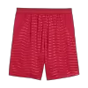 Portugal Soccer Shorts 2026 Home World Cup - ijersey
