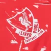 Liverpool Jersey 1989/91 Home Retro - ijersey