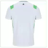 Northern Ireland Jersey 2026 Away World Cup - ijersey