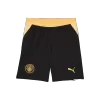 Manchester City Soccer Shorts 2026/27 Away - ijersey